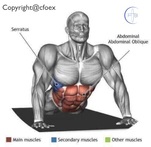 Estiramientos Musculares Miembros Superiores 01