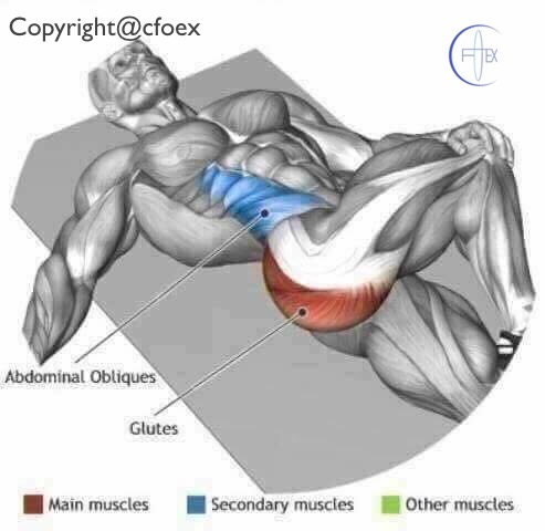 Estiramientos Musculares Miembros Inferiores 03