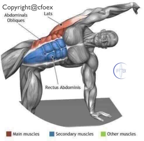 Estiramientos Musculares Miembros Superiores 03