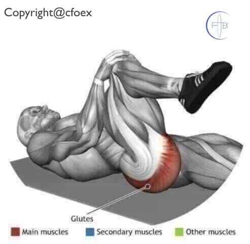 Estiramientos Musculares Miembros Inferiores 04