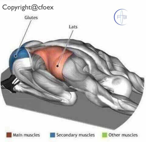 Estiramientos Musculares Miembros Superiores 04