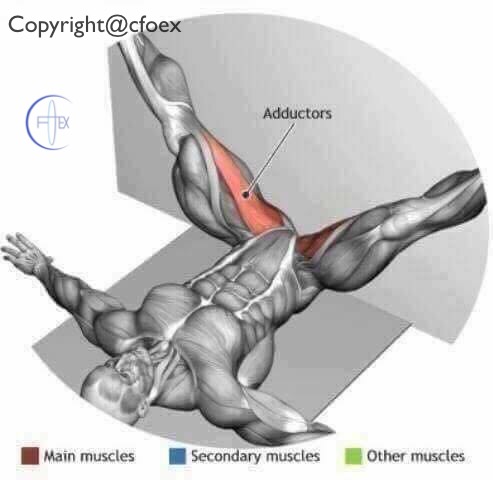 Estiramientos Musculares Miembros Inferiores 05