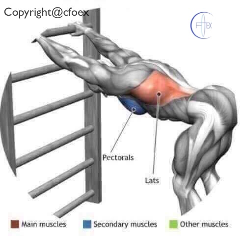 Estiramientos Musculares Miembros Superiores 05