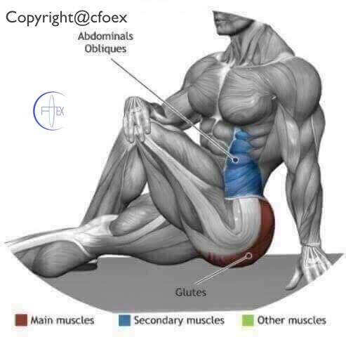 Estiramientos Musculares Miembros Inferiores 07