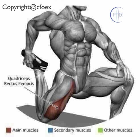 Estiramientos Musculares Miembros Inferiores 08