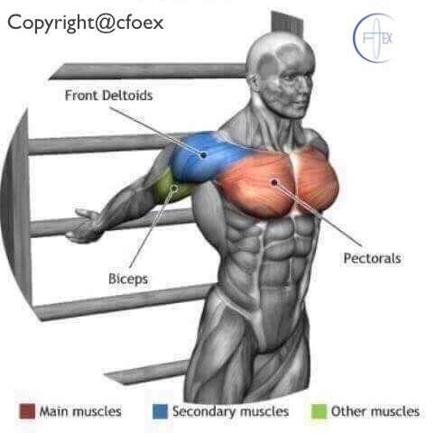 Estiramientos Musculares Miembros Superiores 08