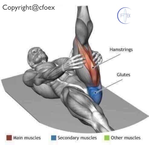 Estiramientos Musculares Miembros Inferiores 09