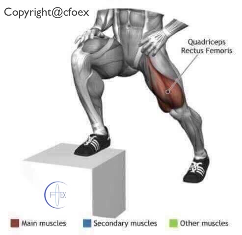 Estiramientos Musculares Miembros Inferiores 11