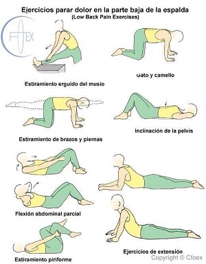 Ejercicios de estiramiento y potenciación para columna vertebral lumbar