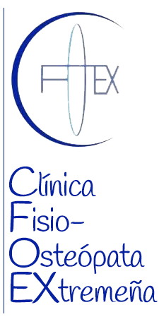 Logo CFOEX